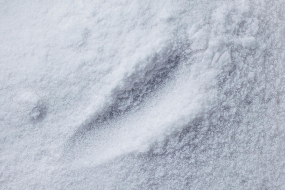 Sodium Citrate